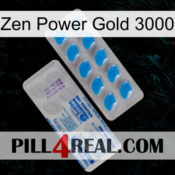 Zen Power Gold 3000 new15